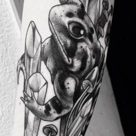 Kröte mit kristallen und pilze - Mathi