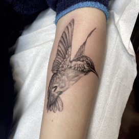 Fineline kolibri tattoo - Mathi