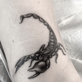 Skorpion tattoo - Mathi