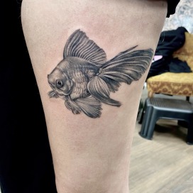 Fineline goldfisch tattoo - Mathi